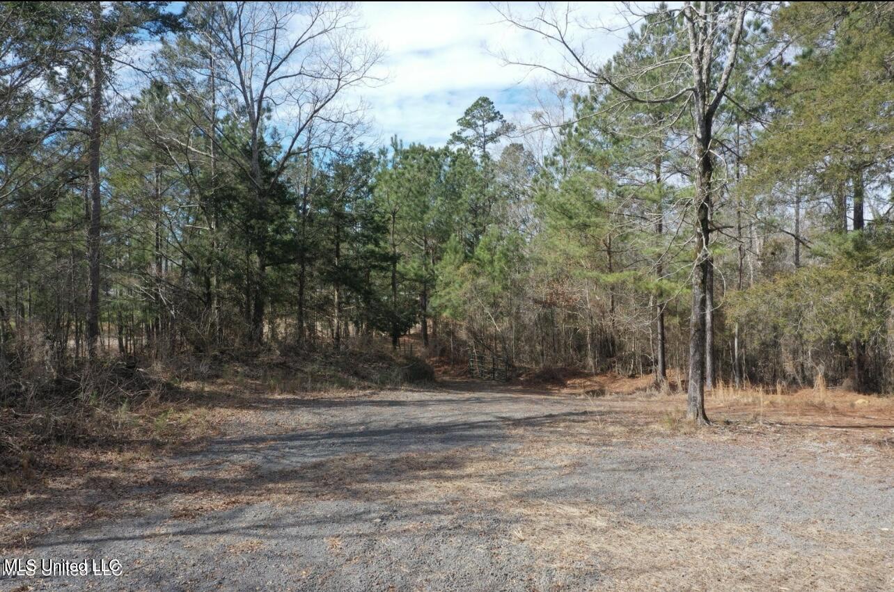 Shiloh Road Brandon, MS 39042 - Photo 2 of 19 IMG_2161