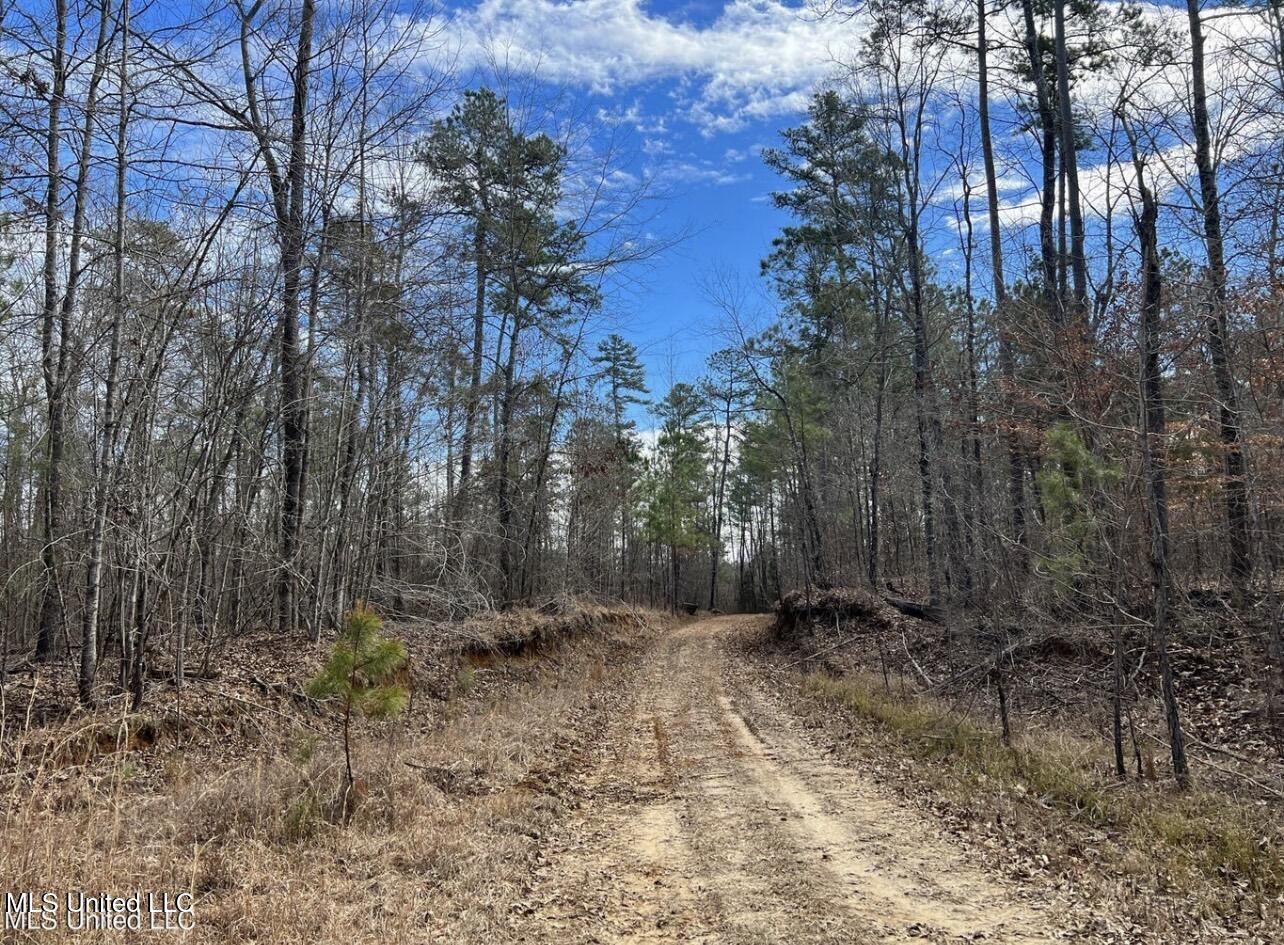 Shiloh Road Brandon, MS 39042 - Photo 3 of 19 IMG_2162