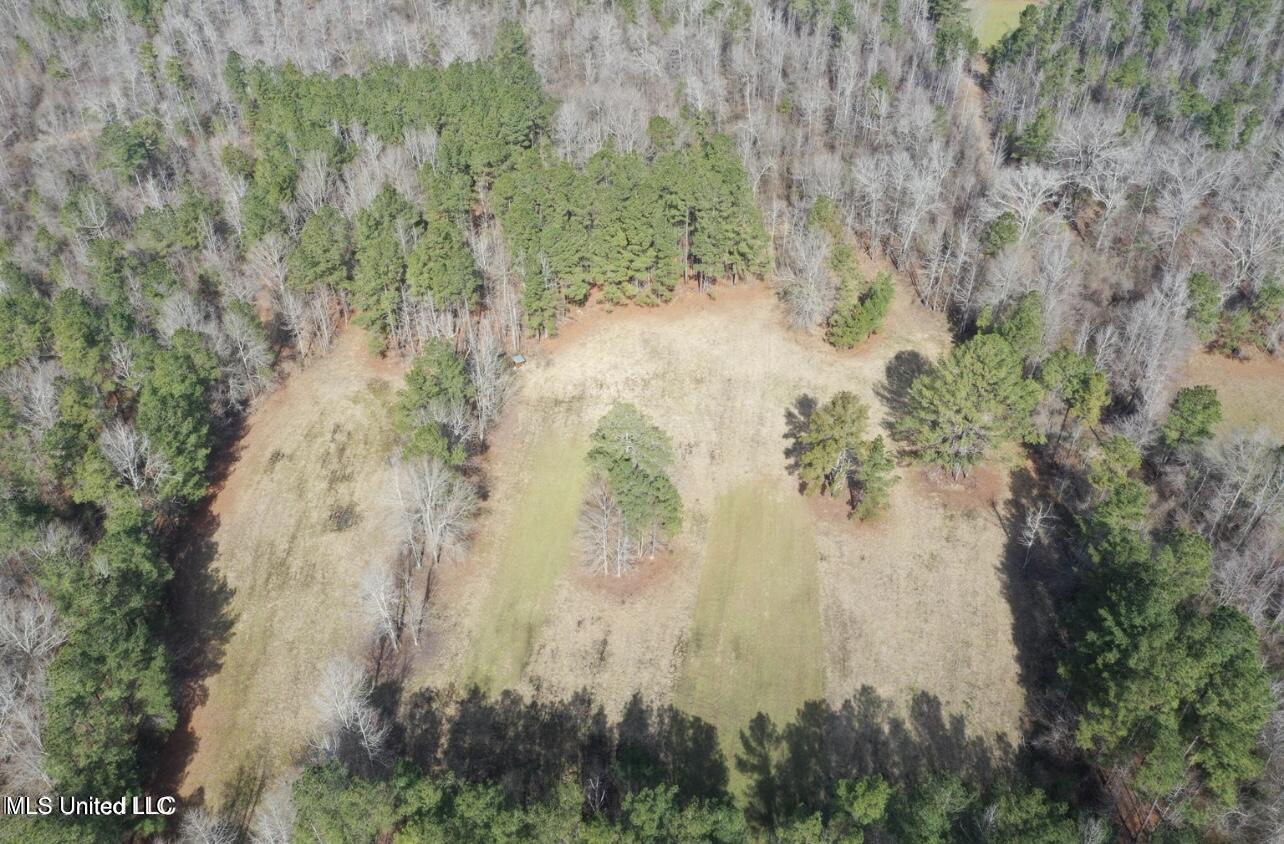 Shiloh Road Brandon, MS 39042 - Photo 4 of 19 IMG_2163