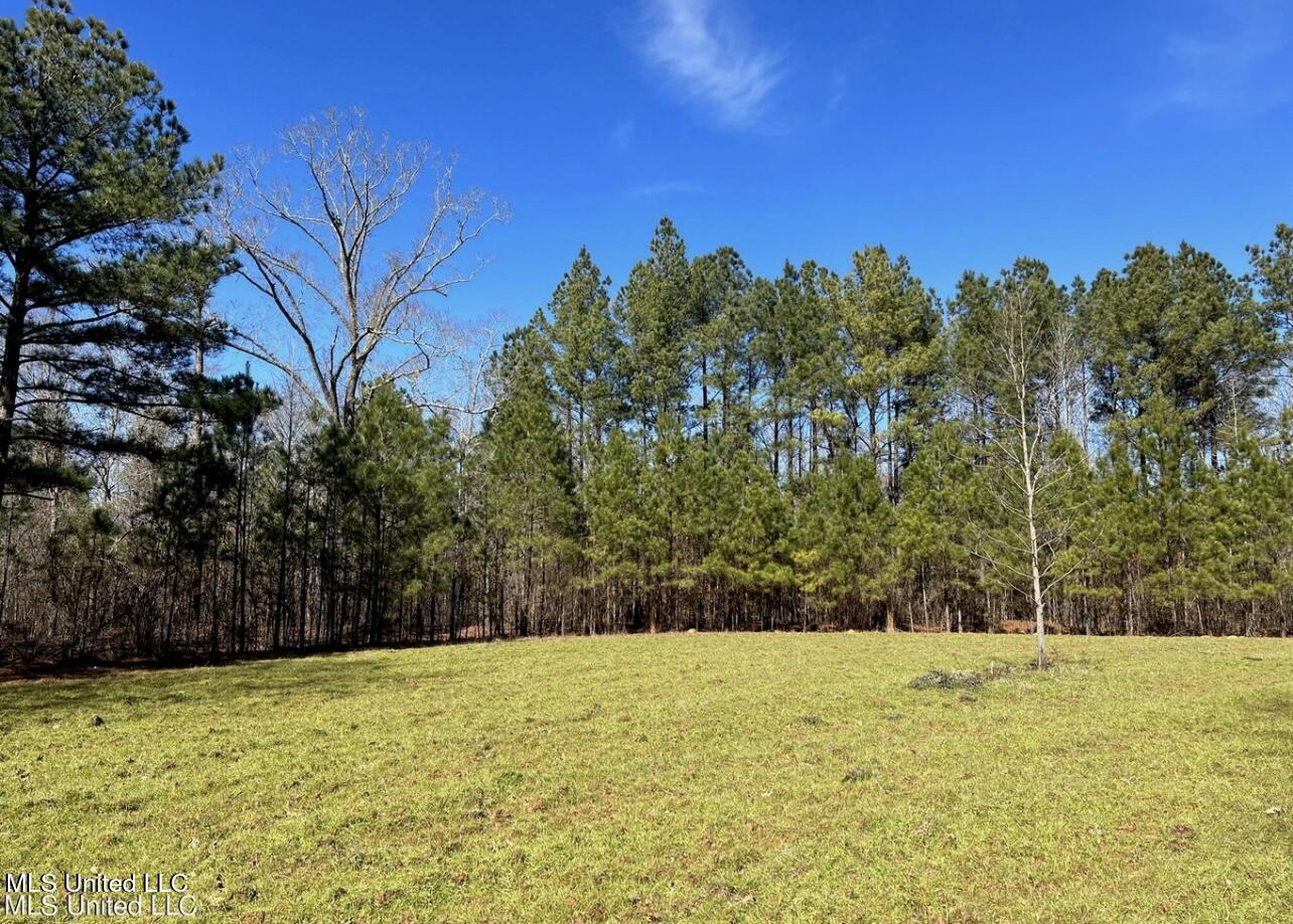 Shiloh Road Brandon, MS 39042 - Photo 5 of 19 IMG_2165