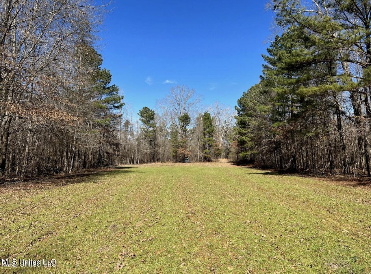 Shiloh Road Brandon, MS 39042 - Photo 7 of 19 IMG_2166