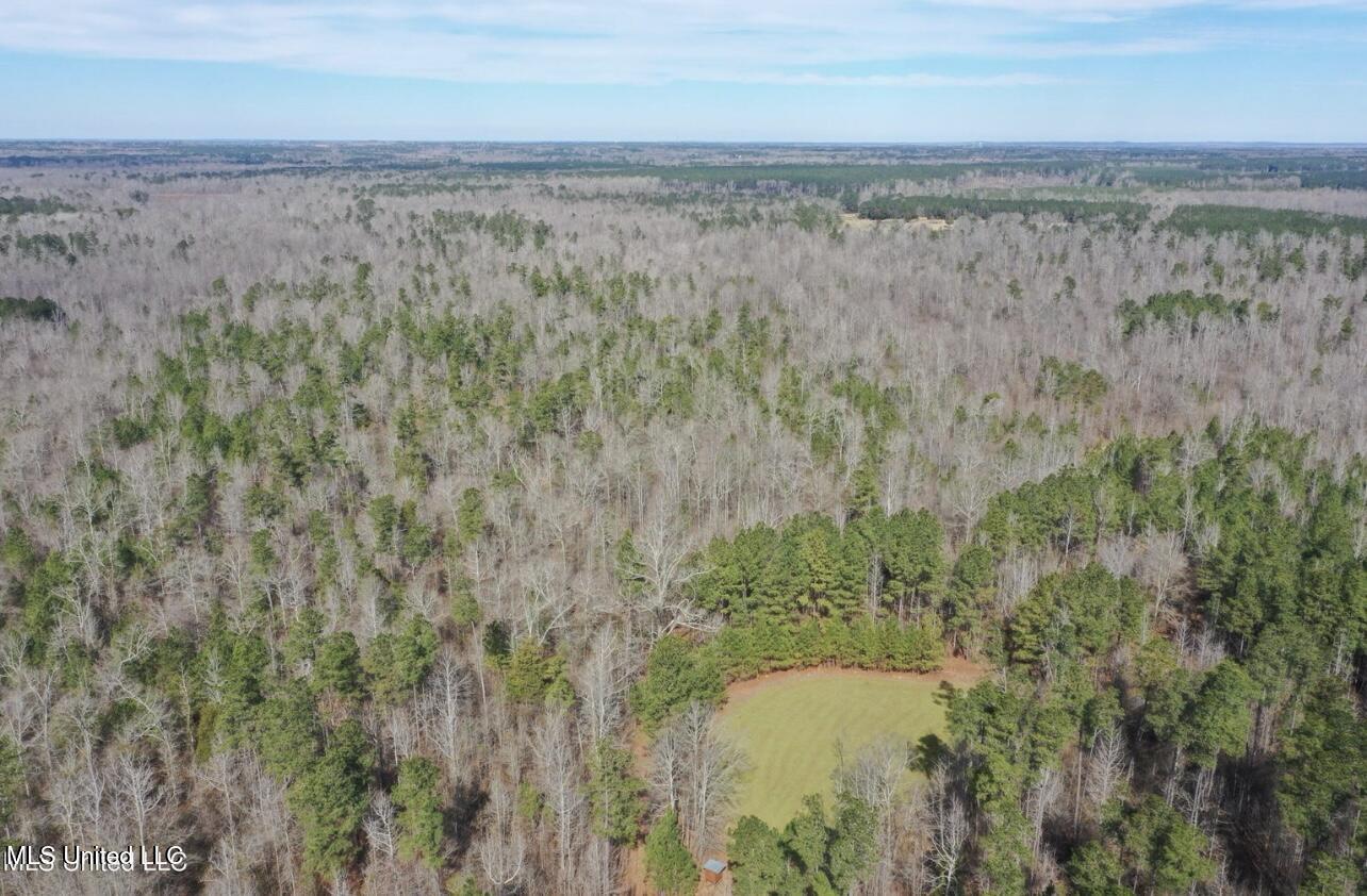 Shiloh Road Brandon, MS 39042 - Photo 9 of 19 IMG_2168