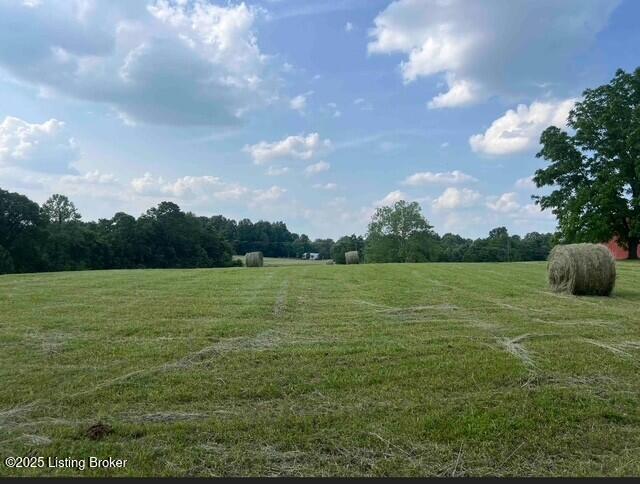 2 Mount Pleasant Road Bedford, KY 40006 - Photo 8 of 9 Tract 2 Photo Match #2-7