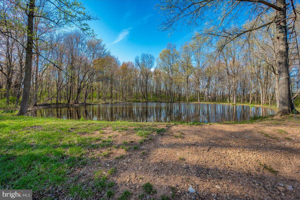 10524 Stull Road Thurmont, MD 21788 - Photo 11 of 91 a view of a yard with a fence