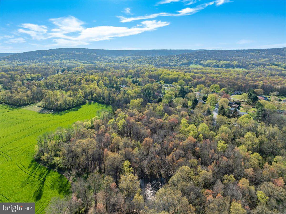 10524 Stull Road Thurmont, MD 21788 - Photo 39 of 91 a view of a city with lush green forest