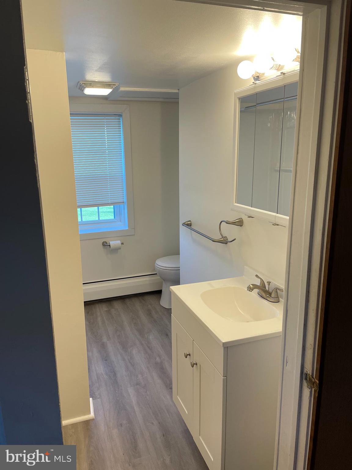 10524 Stull Road Thurmont, MD 21788 - Photo 75 of 91 a bathroom with a sink a toilet and a mirror