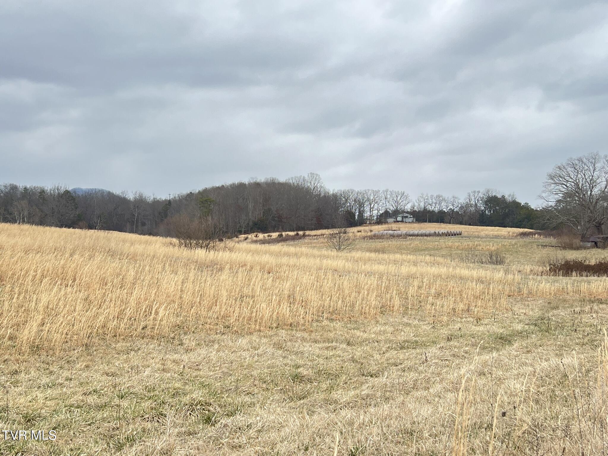 Tbd Tbd Brake Tree Lane, Unit 15 Greeneville, TN 37745 - Photo 11 of 42 IMG_0536