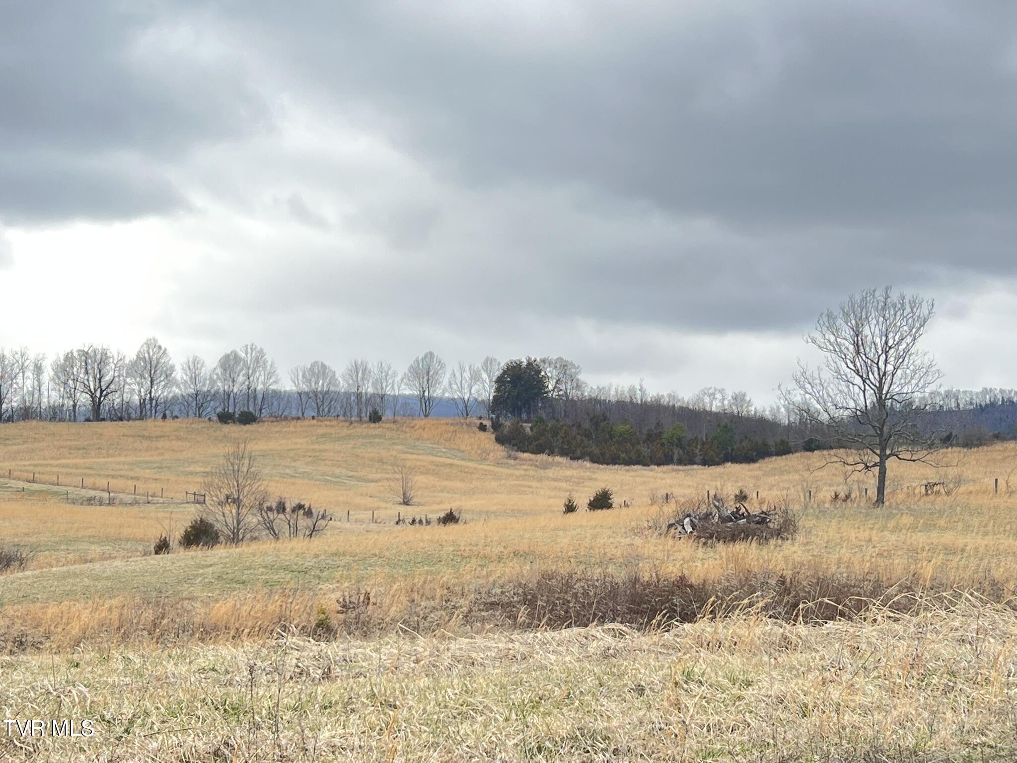 Tbd Tbd Brake Tree Lane, Unit 15 Greeneville, TN 37745 - Photo 12 of 42 IMG_0539