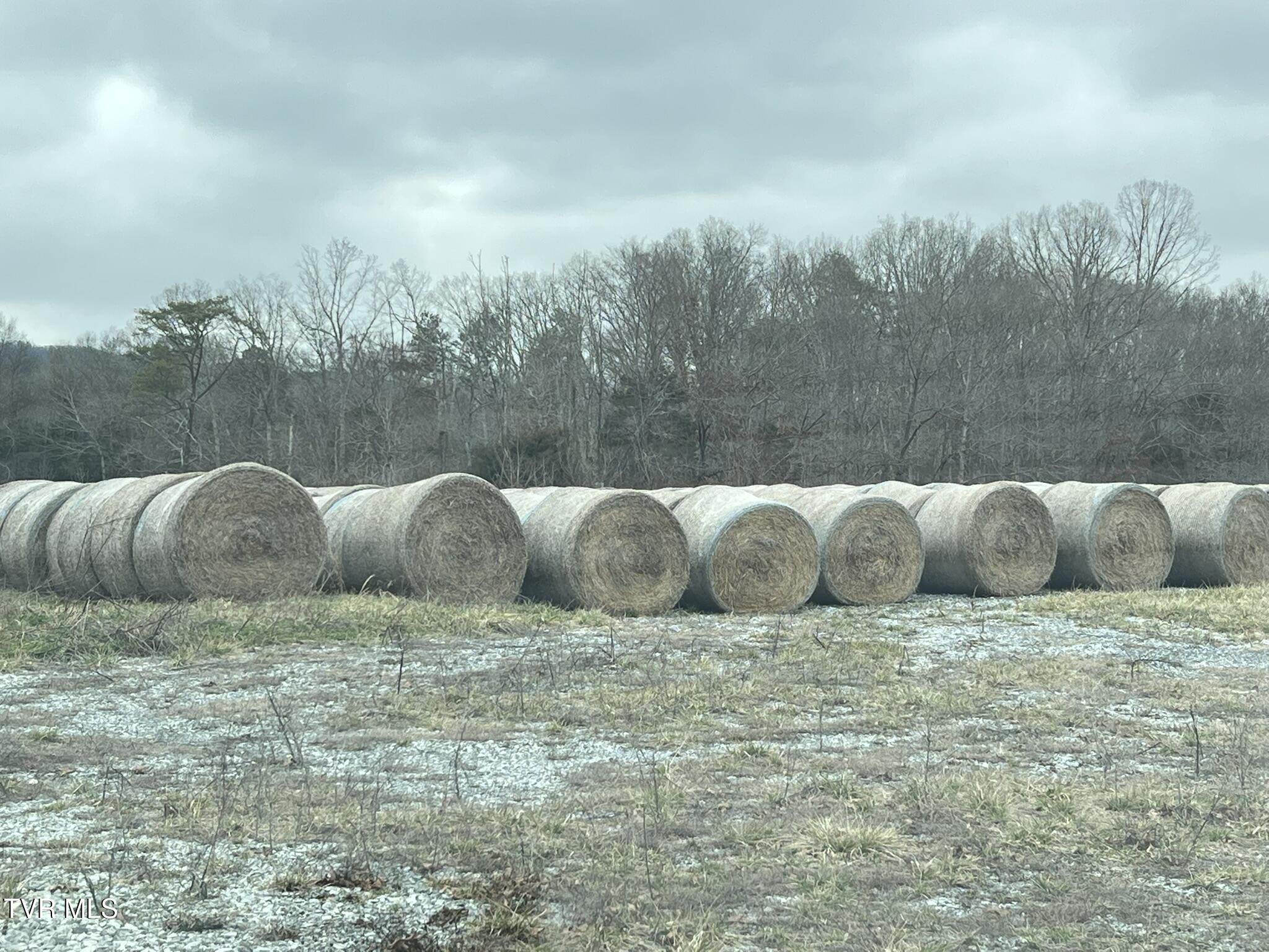 Tbd Tbd Brake Tree Lane, Unit 15 Greeneville, TN 37745 - Photo 13 of 42 IMG_0541