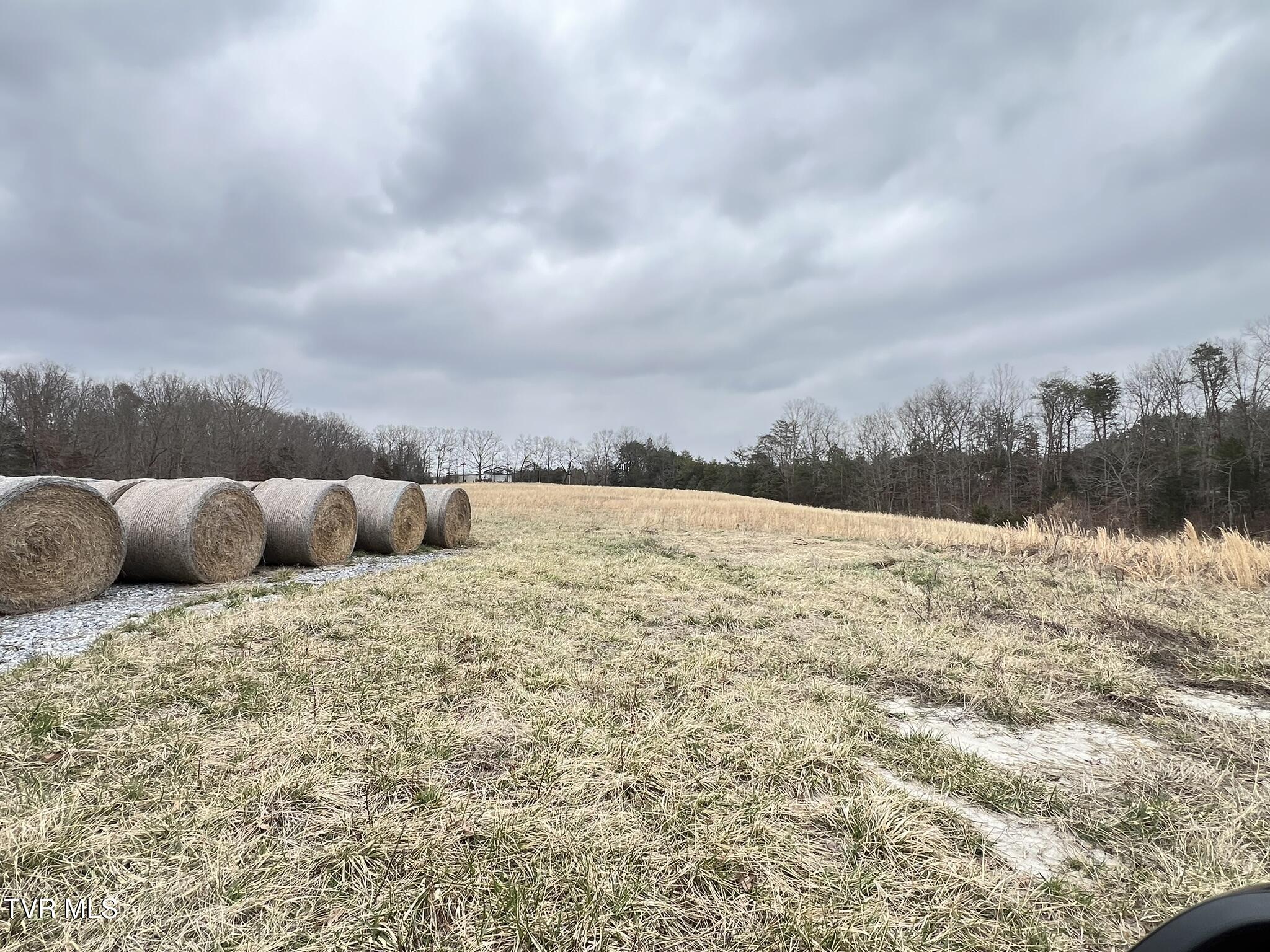 Tbd Tbd Brake Tree Lane, Unit 15 Greeneville, TN 37745 - Photo 14 of 42 IMG_0542