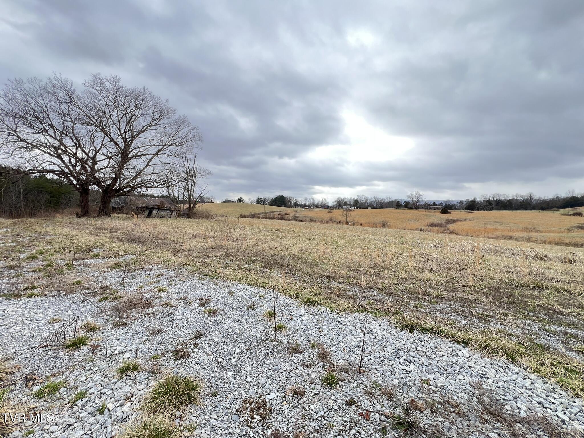 Tbd Tbd Brake Tree Lane, Unit 15 Greeneville, TN 37745 - Photo 15 of 42 IMG_0543
