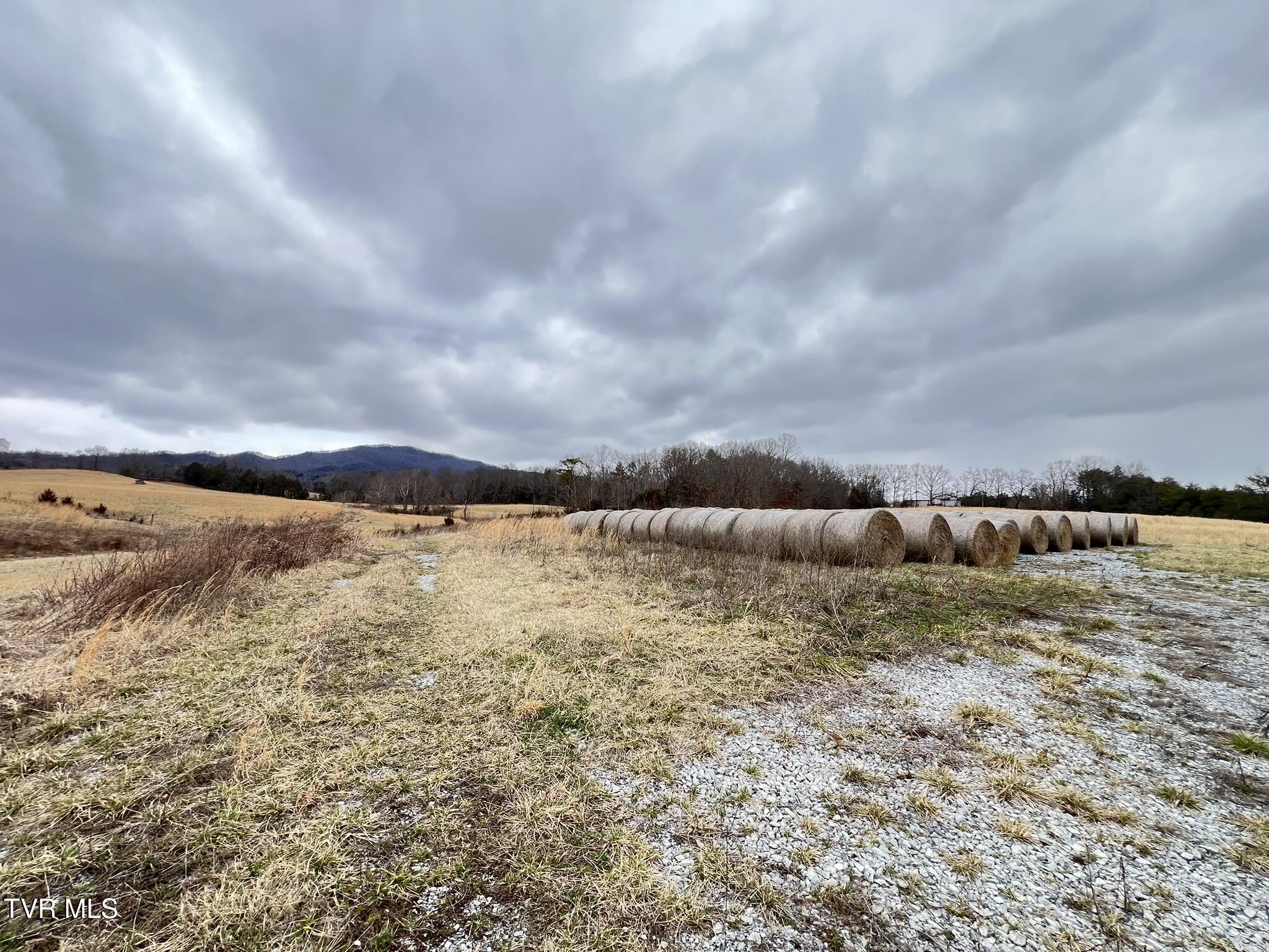 Tbd Tbd Brake Tree Lane, Unit 15 Greeneville, TN 37745 - Photo 18 of 42 IMG_0546