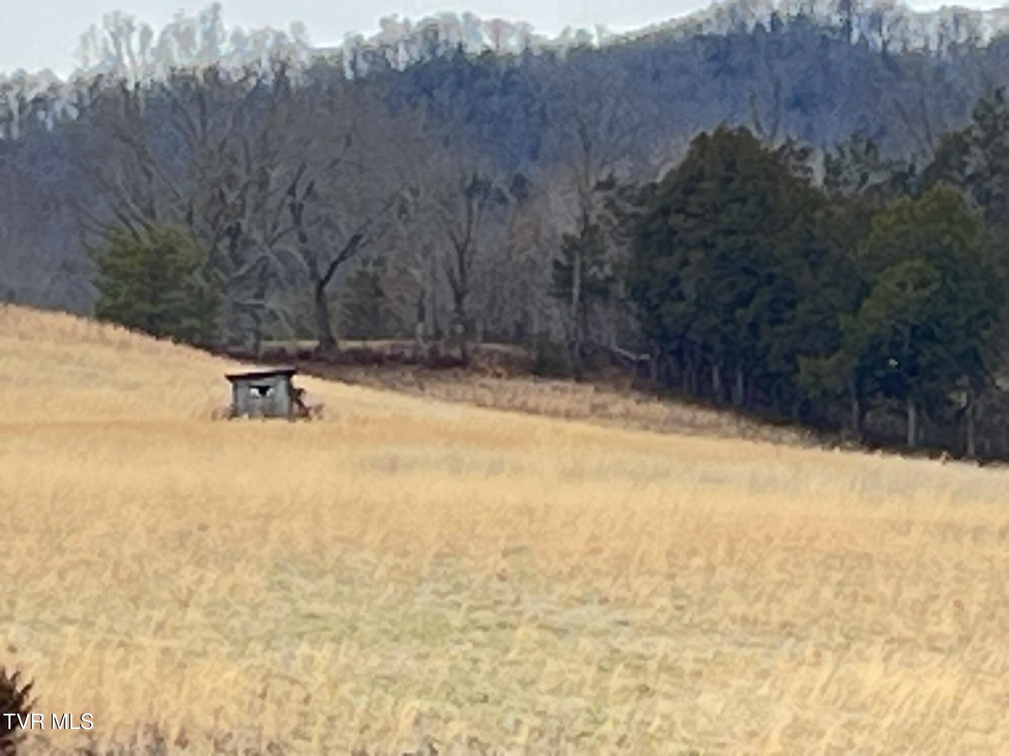 Tbd Tbd Brake Tree Lane, Unit 15 Greeneville, TN 37745 - Photo 20 of 42 IMG_0548