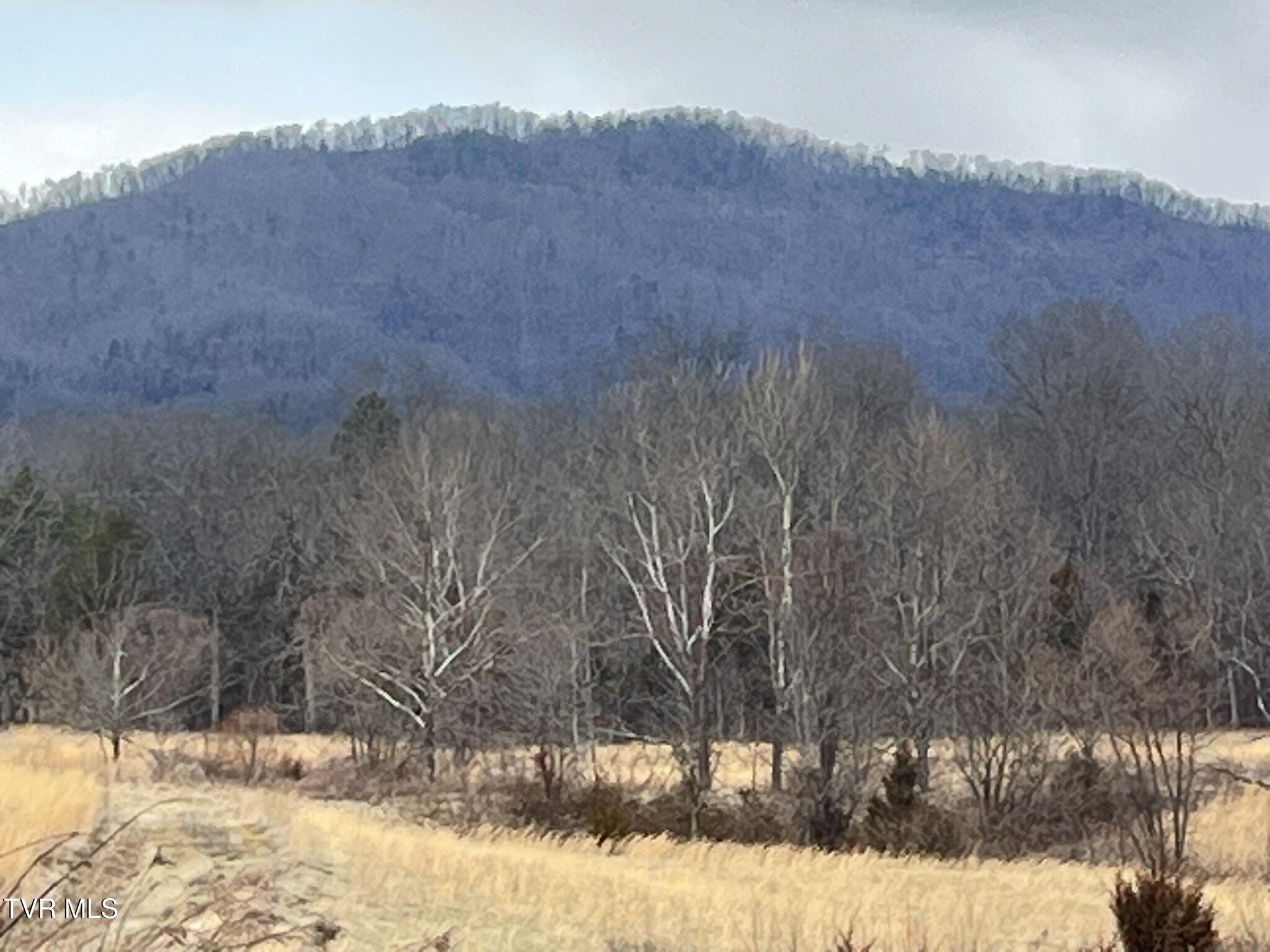 Tbd Tbd Brake Tree Lane, Unit 15 Greeneville, TN 37745 - Photo 21 of 42 IMG_0549