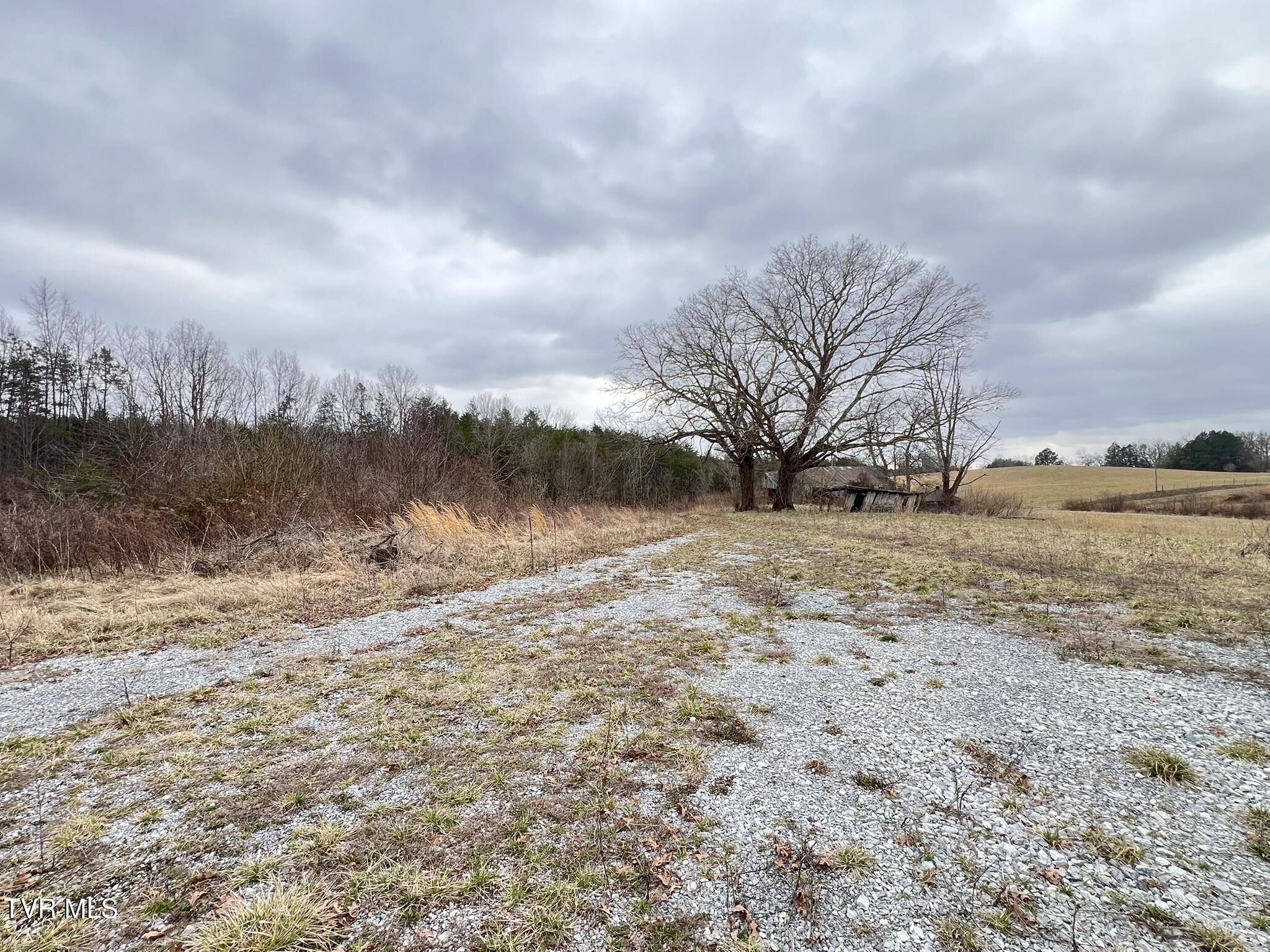 Tbd Tbd Brake Tree Lane, Unit 15 Greeneville, TN 37745 - Photo 22 of 42 IMG_0550