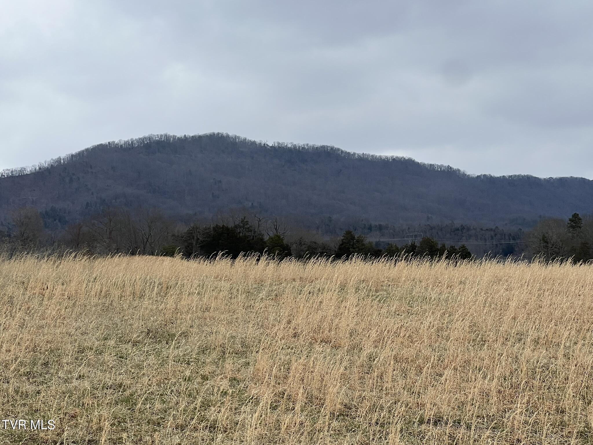 Tbd Tbd Brake Tree Lane, Unit 15 Greeneville, TN 37745 - Photo 23 of 42 IMG_0535
