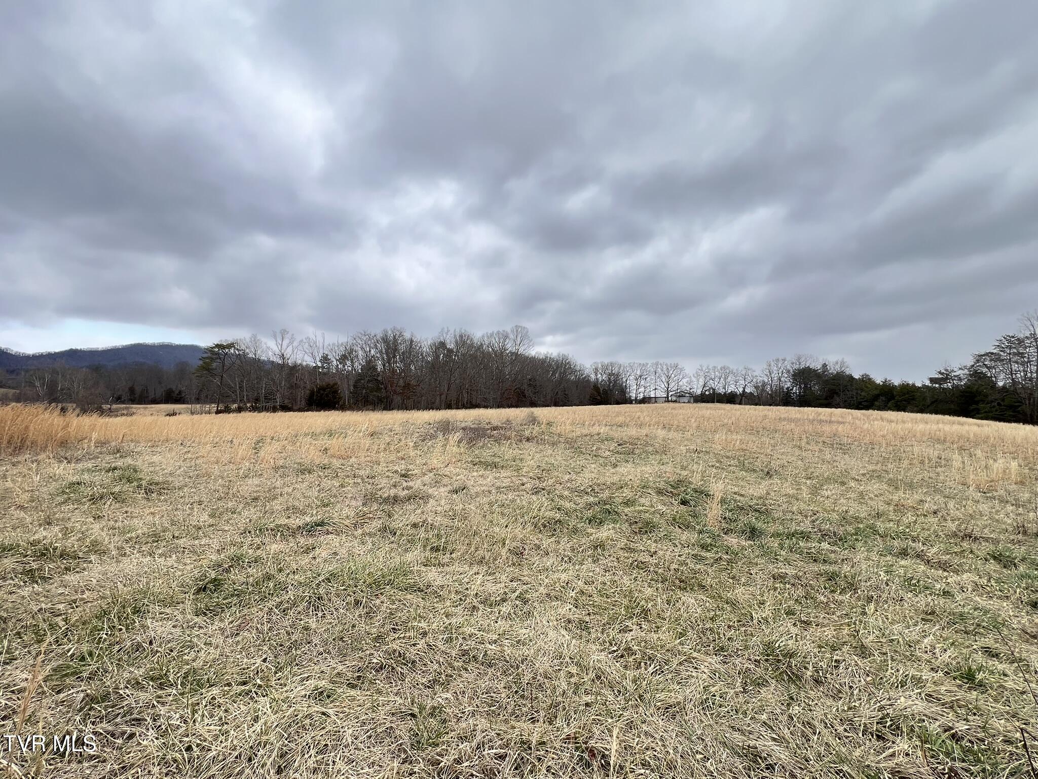 Tbd Tbd Brake Tree Lane, Unit 15 Greeneville, TN 37745 - Photo 24 of 42 IMG_0551