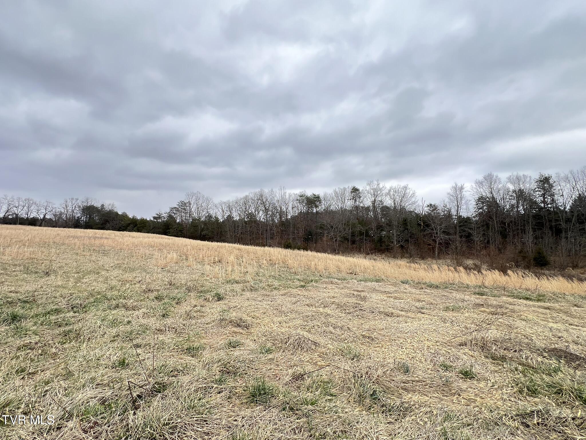 Tbd Tbd Brake Tree Lane, Unit 15 Greeneville, TN 37745 - Photo 25 of 42 IMG_0552