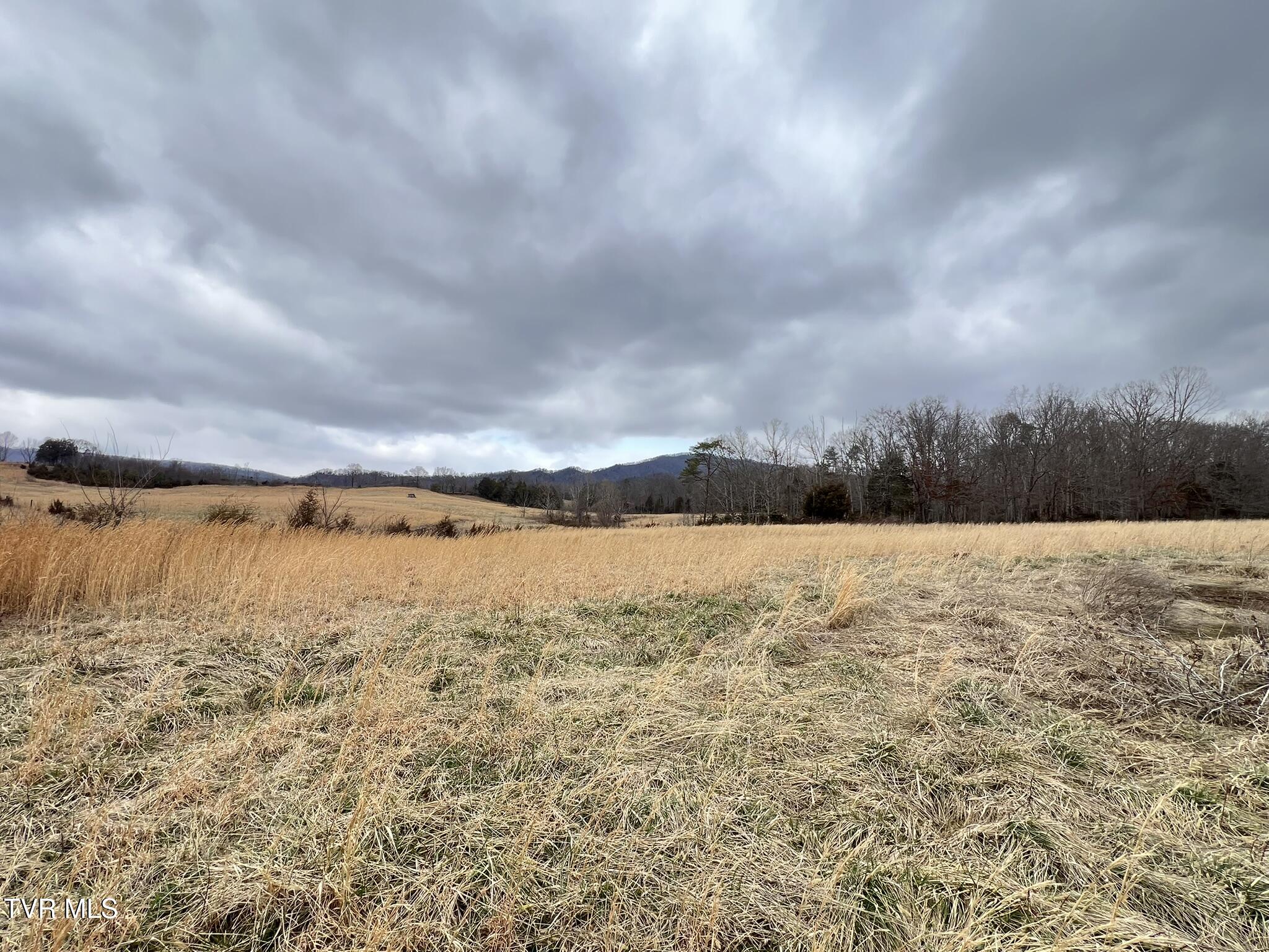 Tbd Tbd Brake Tree Lane, Unit 15 Greeneville, TN 37745 - Photo 26 of 42 IMG_0553