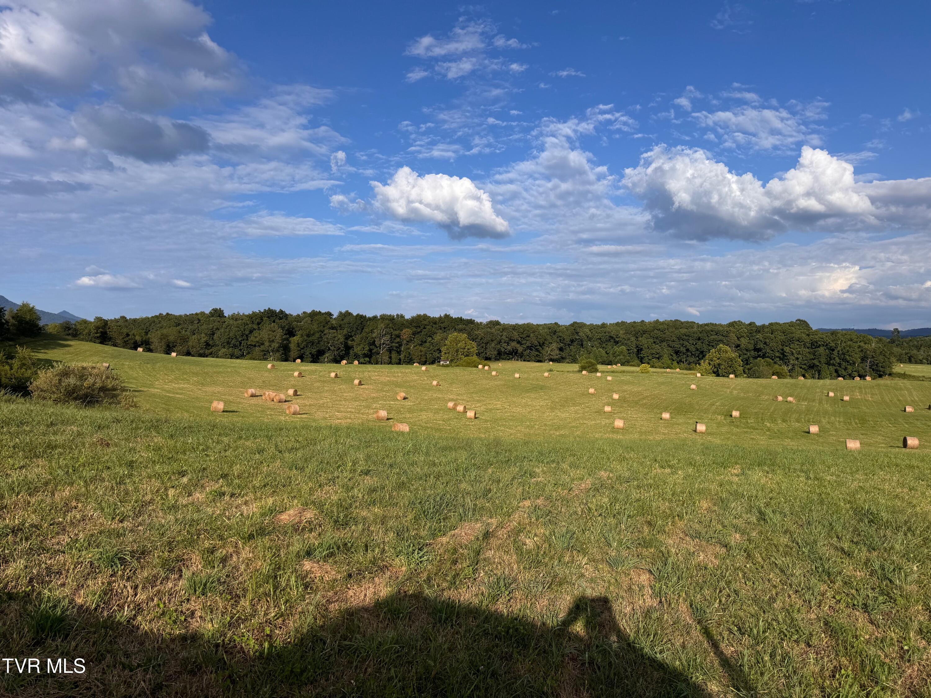 Tbd Tbd Brake Tree Lane, Unit 15 Greeneville, TN 37745 - Photo 35 of 42 IMG_4281