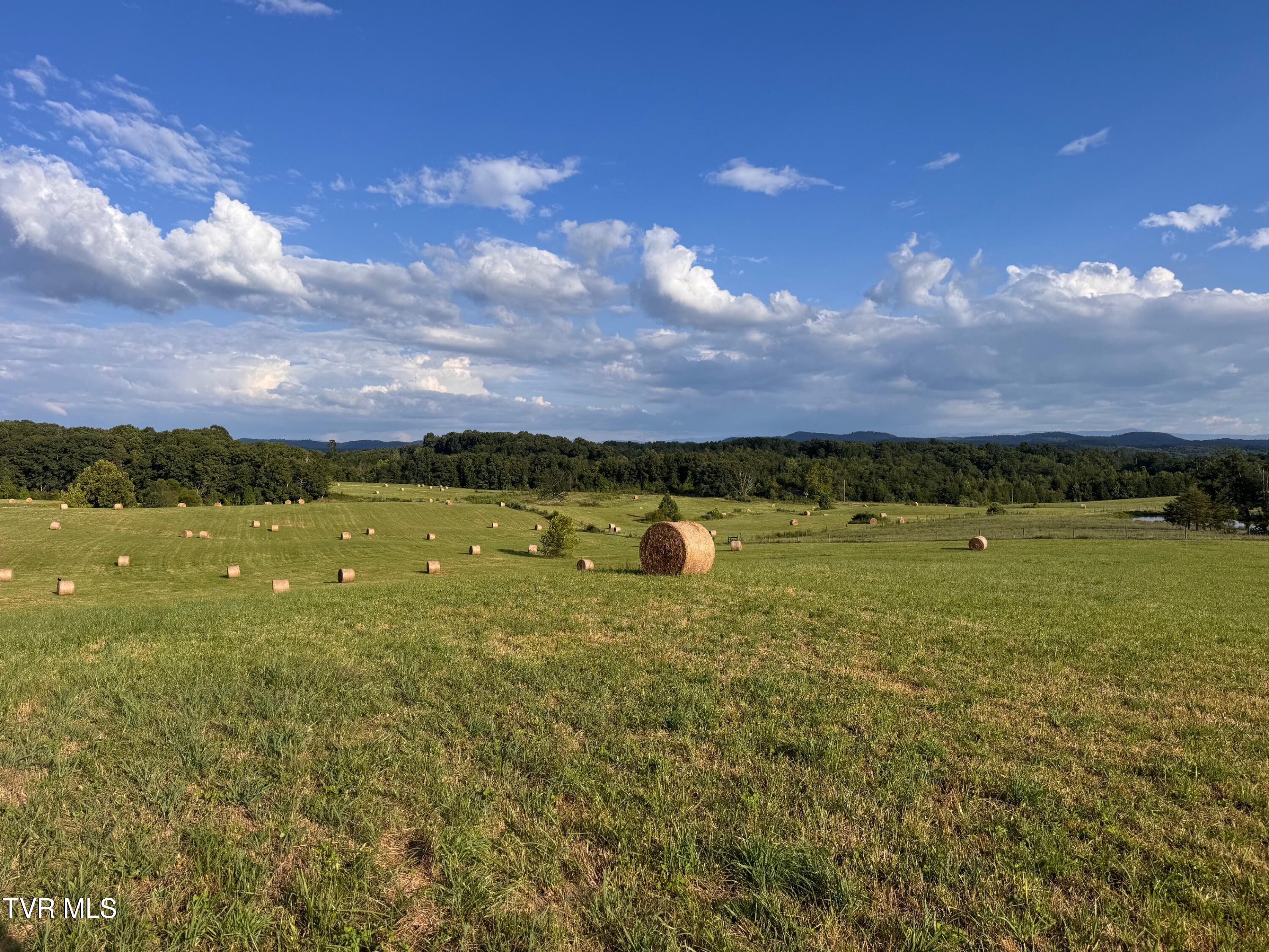 Tbd Tbd Brake Tree Lane, Unit 15 Greeneville, TN 37745 - Photo 36 of 42 IMG_4282