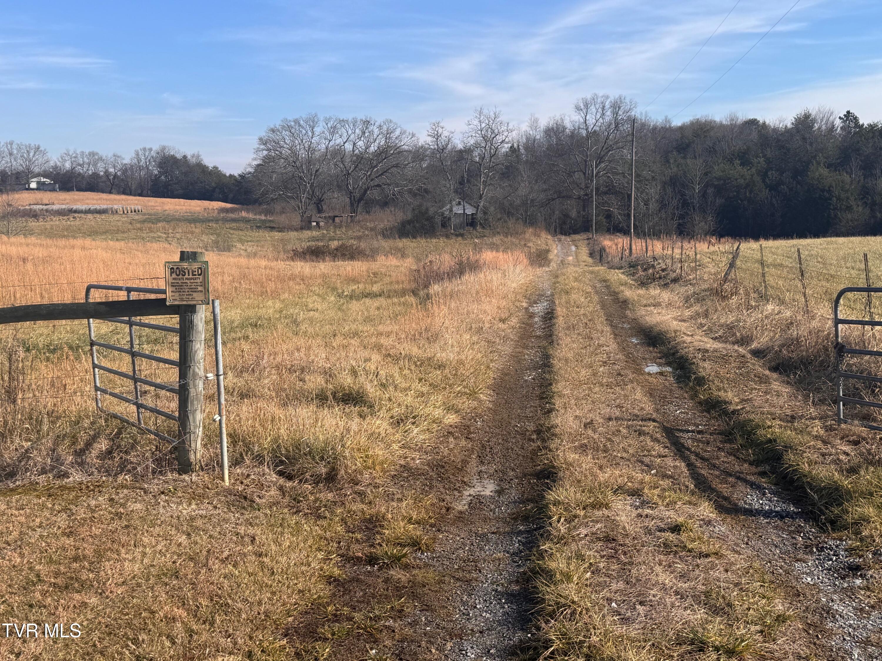 Tbd Tbd Brake Tree Lane, Unit 15 Greeneville, TN 37745 - Photo 37 of 42 IMG_4827