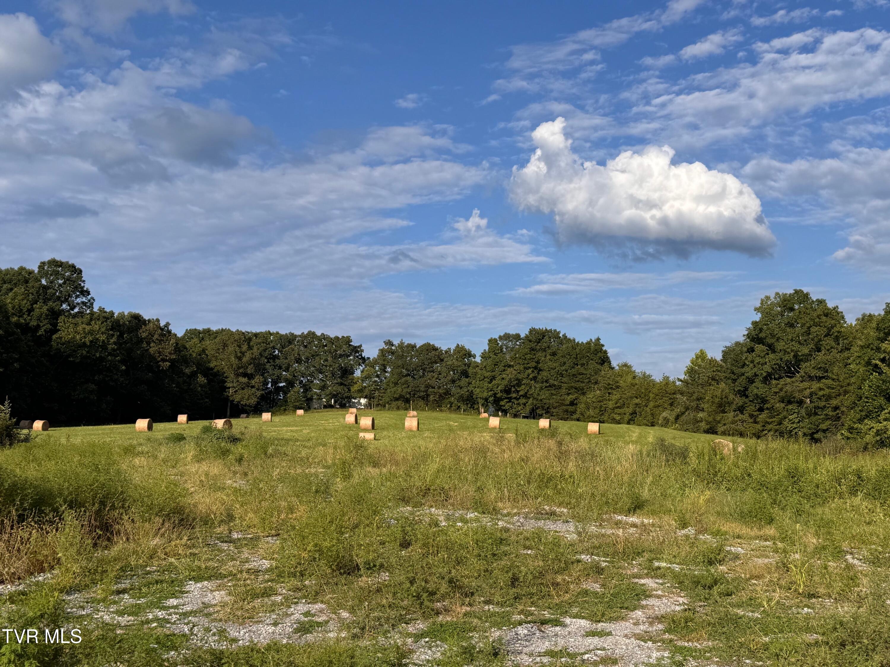 Tbd Tbd Brake Tree Lane, Unit 15 Greeneville, TN 37745 - Photo 38 of 42 IMG_4276