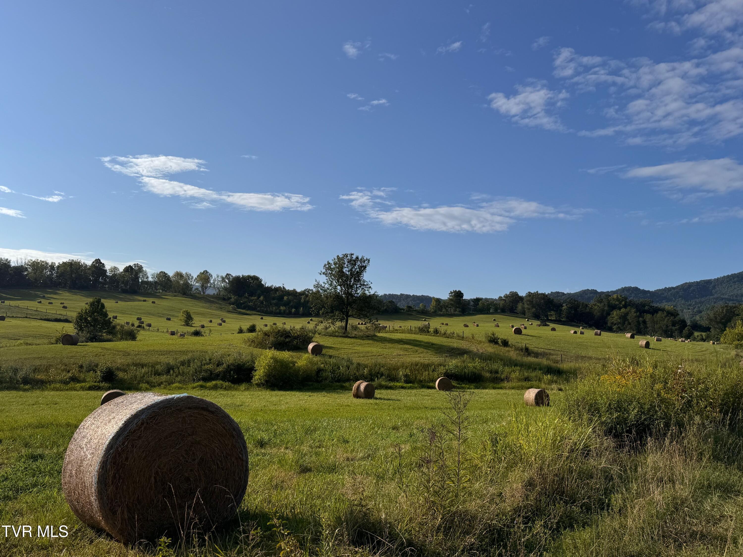 Tbd Tbd Brake Tree Lane, Unit 15 Greeneville, TN 37745 - Photo 40 of 42 IMG_4278