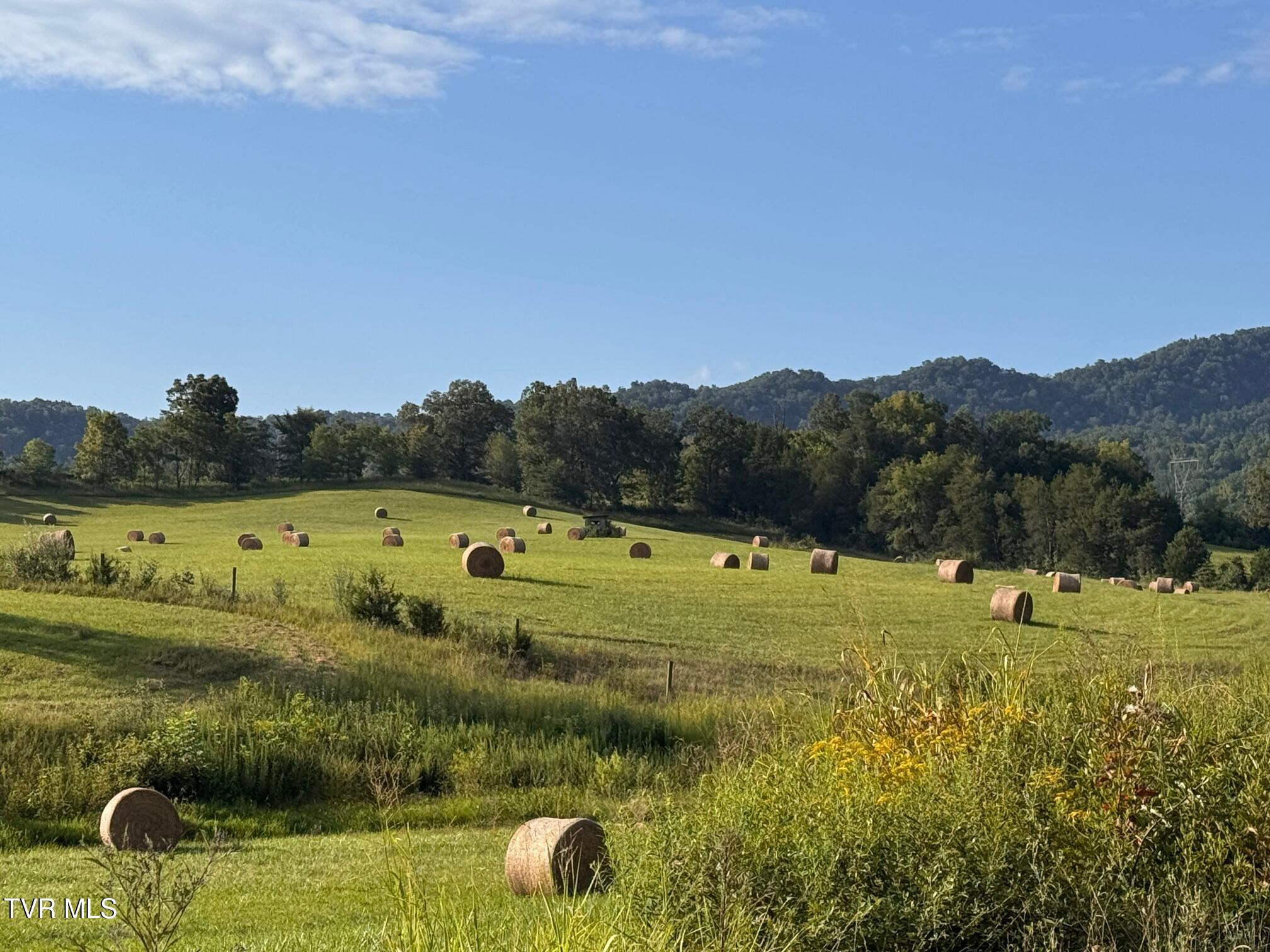 Tbd Tbd Brake Tree Lane, Unit 15 Greeneville, TN 37745 - Photo 42 of 42 IMG_4280