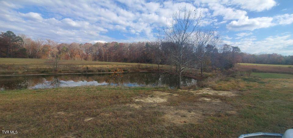 Tbd Tbd Brake Tree Lane, Unit 15 Greeneville, TN 37745 - Photo 10 of 42 Beautiful Pond
