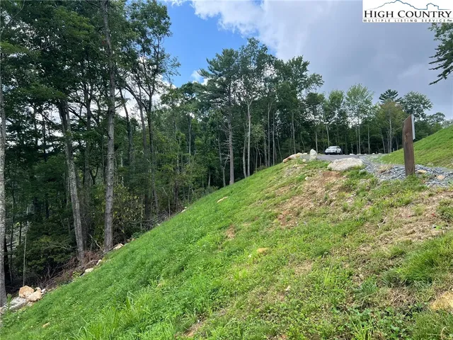 a view of a park with large trees