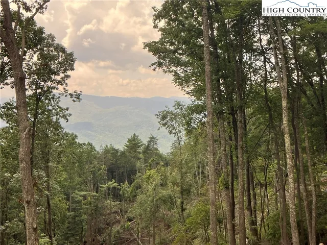 $145,000 | Lot 99 Wildcat Wilderness Parkway, Deep Gap, NC 28618