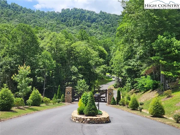 a view of a garden with plants