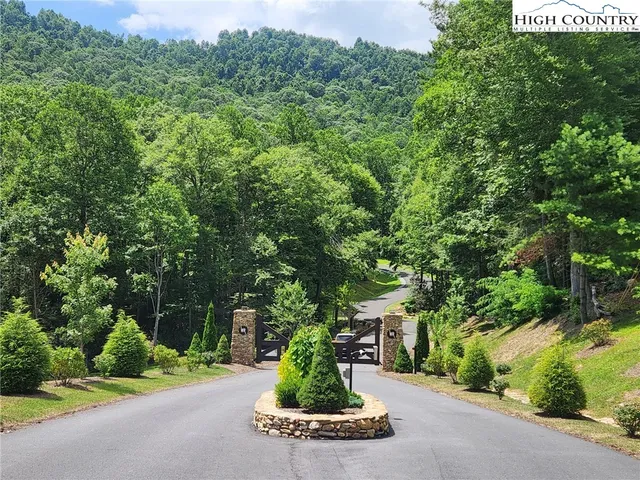 a view of a garden with plants