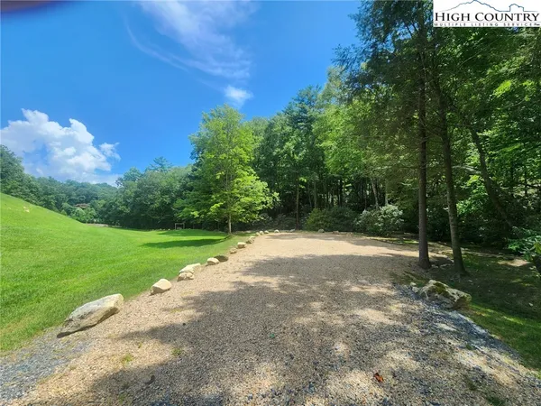 a view of a yard with a tree