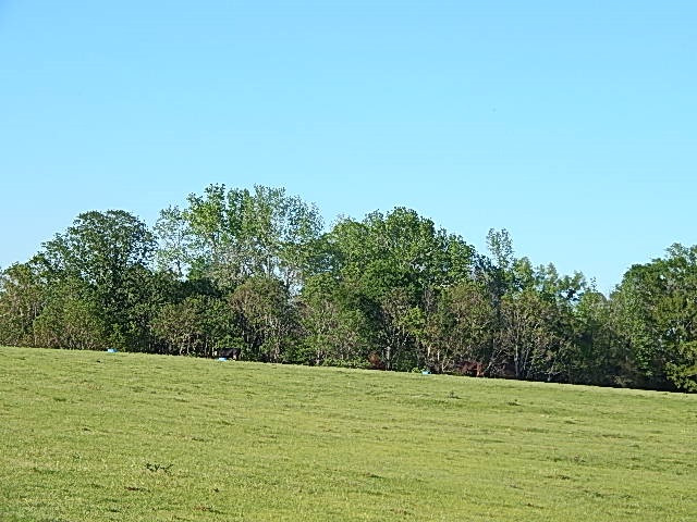 0 Briarwood Road Meridian, MS 39305 - Photo 12 of 19 Photo 13