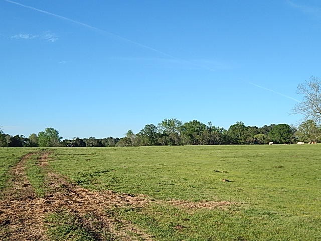 0 Briarwood Road Meridian, MS 39305 - Photo 16 of 19 Photo 17
