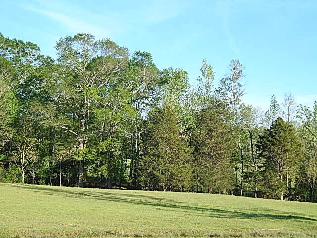 0 Briarwood Road Meridian, MS 39305 - Photo 18 of 19 Photo 19