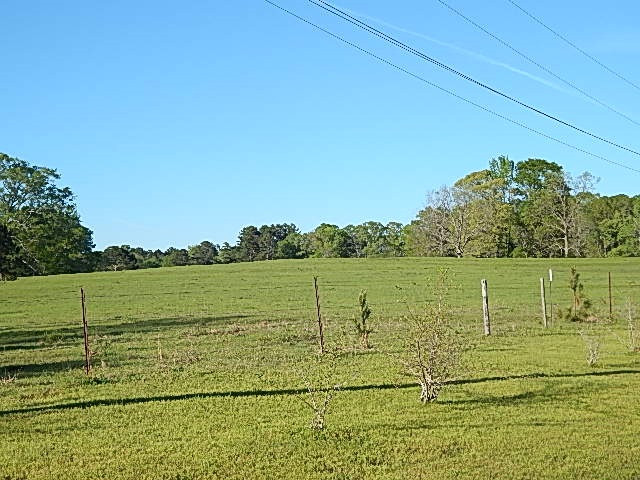0 Briarwood Road Meridian, MS 39305 - Photo 4 of 19 Photo 4