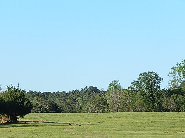 0 Briarwood Road Meridian, MS 39305 - Photo 9 of 19 Photo 9