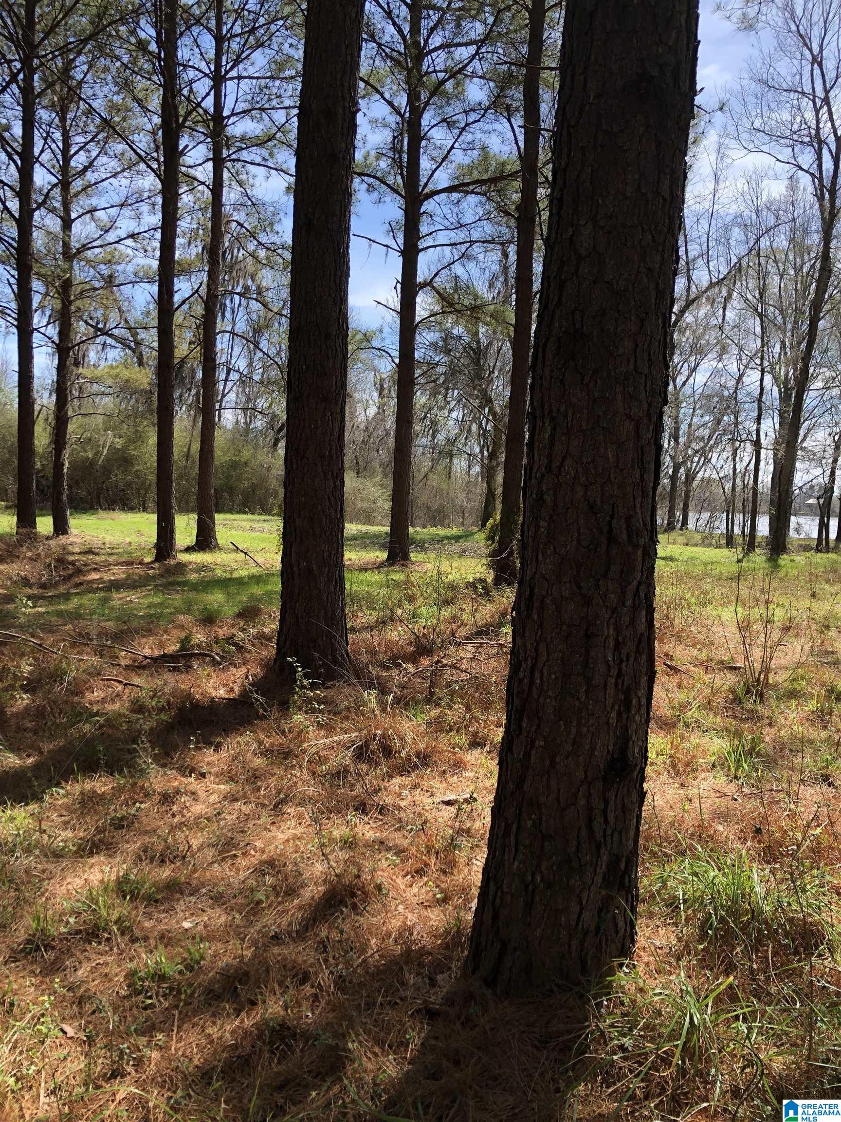 2043 Robinson Pond Road, Unit 2043 Prattville, AL 36067 - Photo 3 of 3