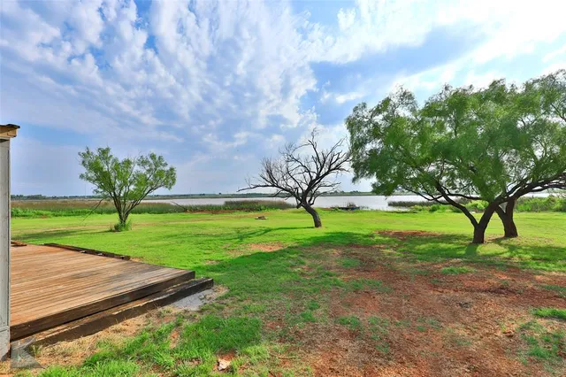 a view of a backyard with large trees