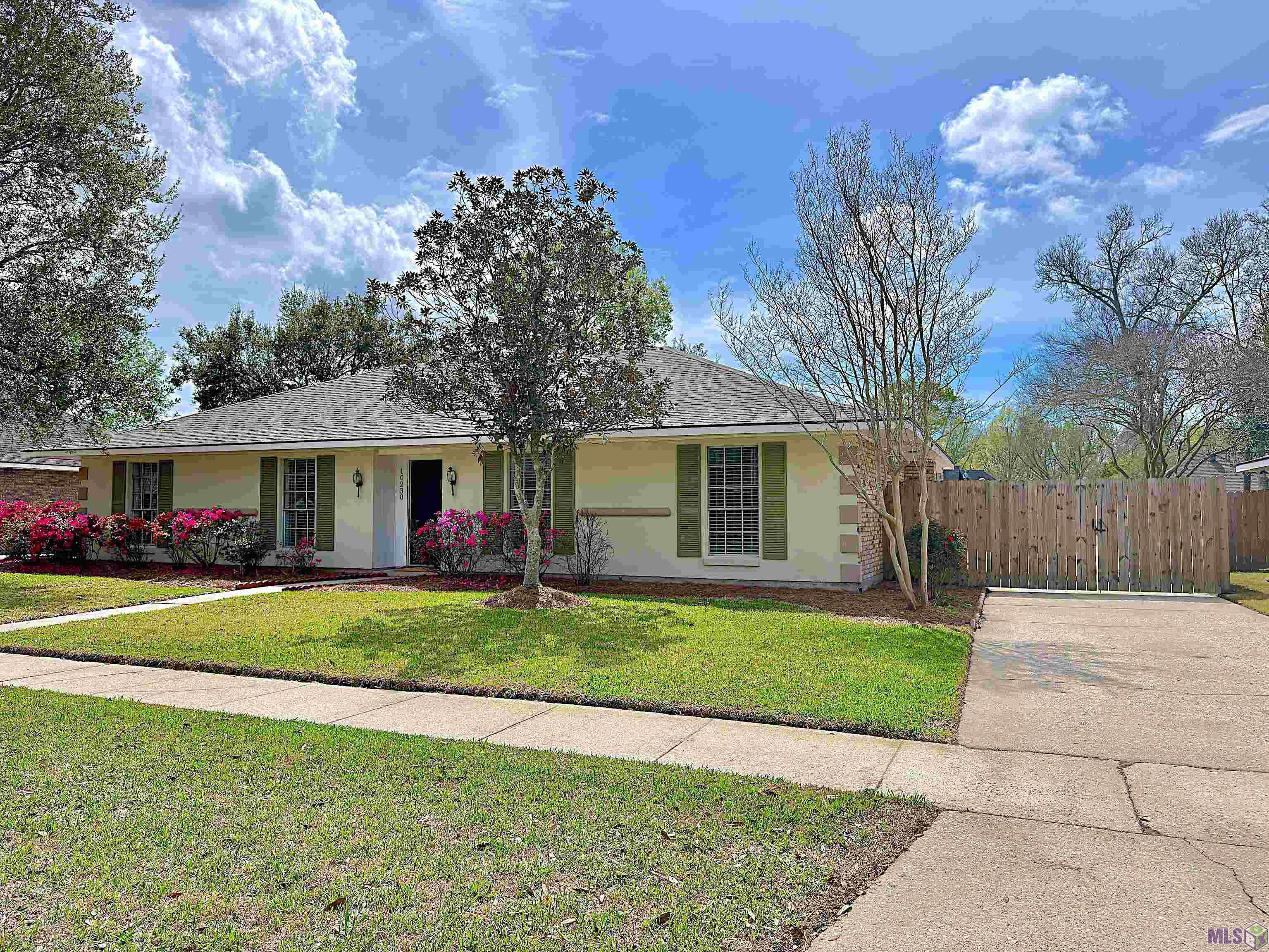 10230 Azrok Avenue St. George, LA 70809 - Photo 2 of 21 Gallery Image 2