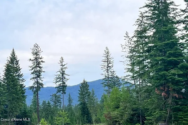 $1,590,000 | 1 Leonard Loop, Athol, ID 83801