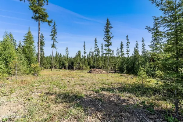 $1,590,000 | 1 Leonard Loop, Athol, ID 83801