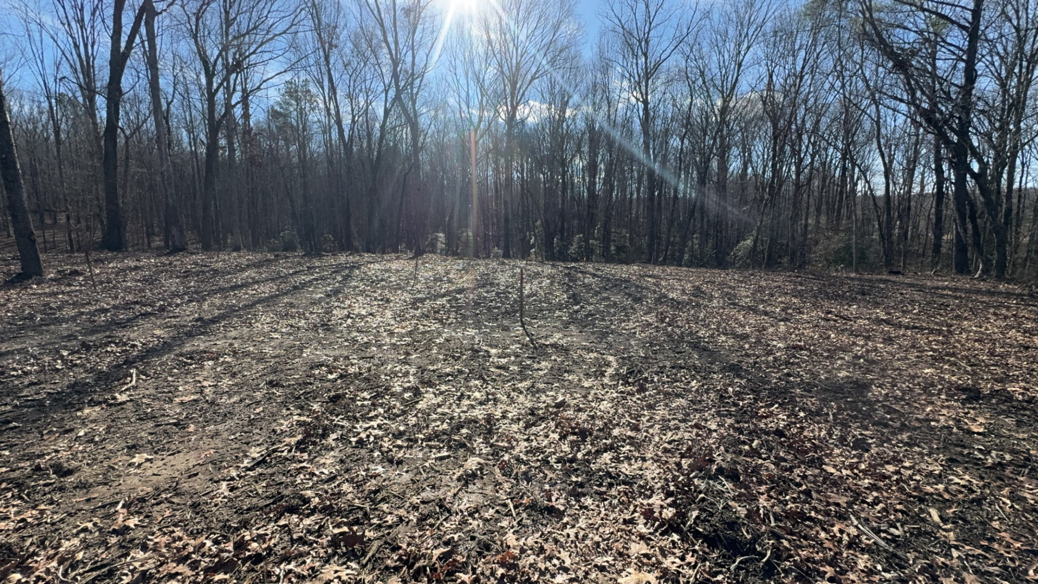 1 Flat Branch Road Tracy City, TN 37387 - Photo 2 of 3