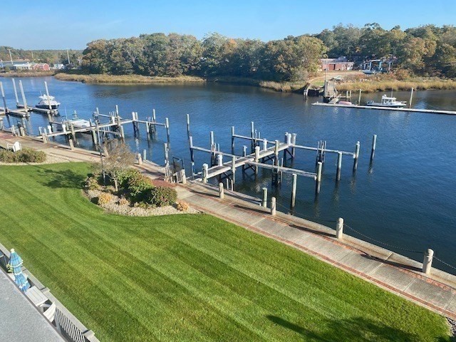 a view of a lake with a yard and large trees