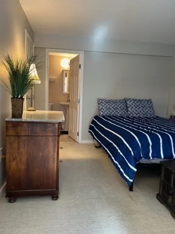 a bedroom with a bed and a potted plant