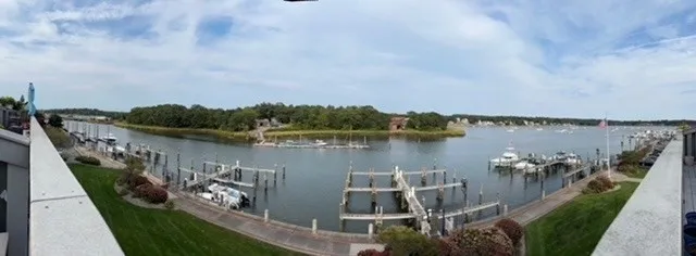 a view of a lake with a mountain in the background