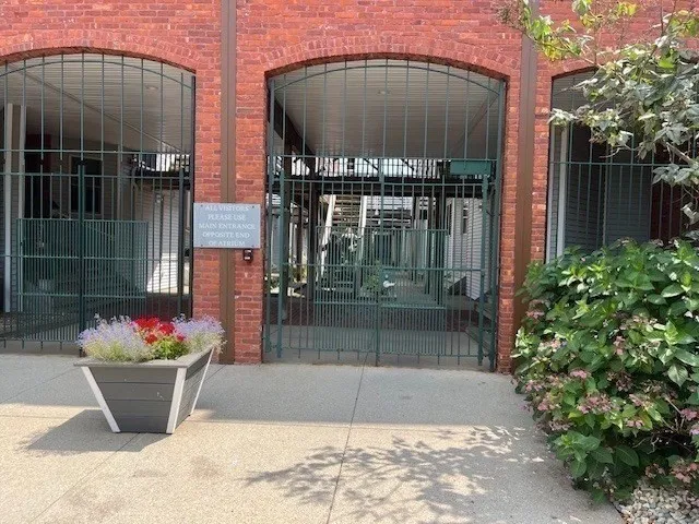 a view of a house with a potted plant